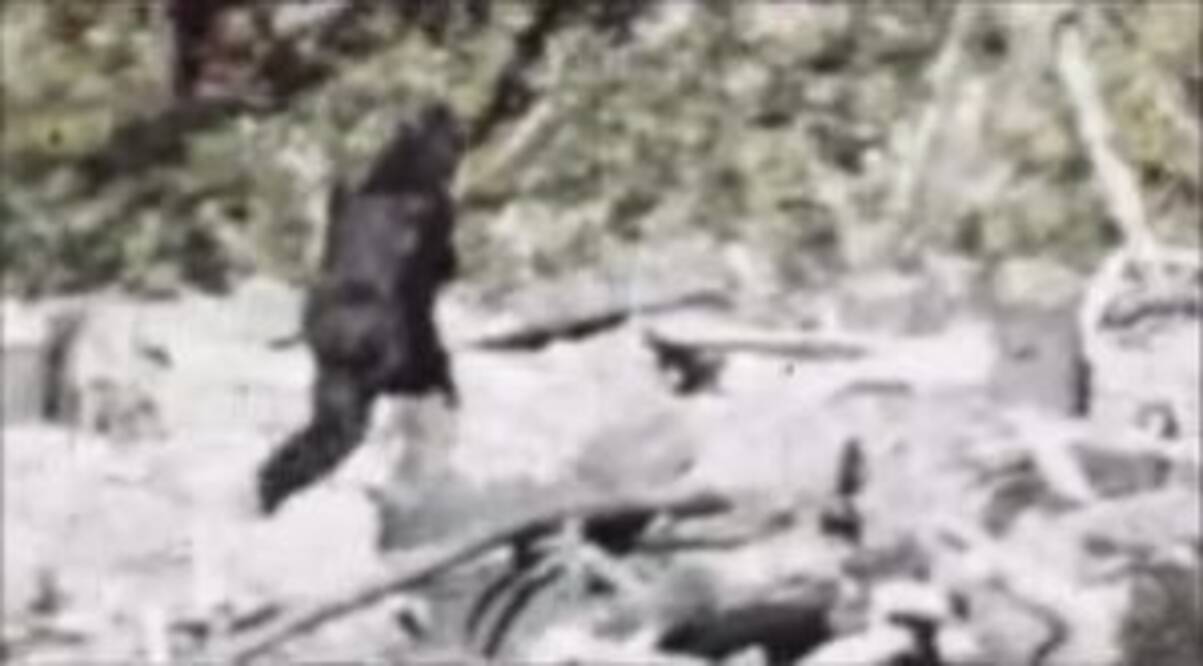 ビッグフット ついにその姿を現す 衝撃のtv番組日本初放送 17年6月26日 エキサイトニュース