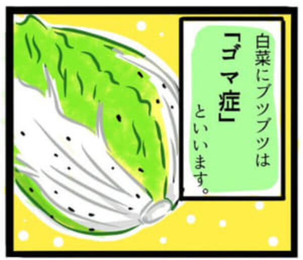 白菜の黒い点々は病気じゃないよ 白菜が頑張ったしるし ゴマ症 のお話 17年11月14日 エキサイトニュース 白菜の黒い点々は病気じゃないよ 白菜が頑張ったしるし ゴマ症 のお話 17年11月14日 エキサイトニュース