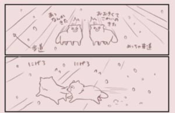 タヌキたち逃げて 超逃げてー 車道に現れたタヌキたちがどんくさ可愛い 17年12月22日 エキサイトニュース