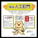 「オストメイトって？ストーマって？人工肛門の方が漫画で説明」の画像1