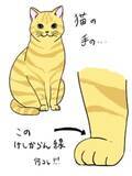 「猫の足は「けしかライン」でできている……かわいすぎて全てがケシカラン！」の画像1