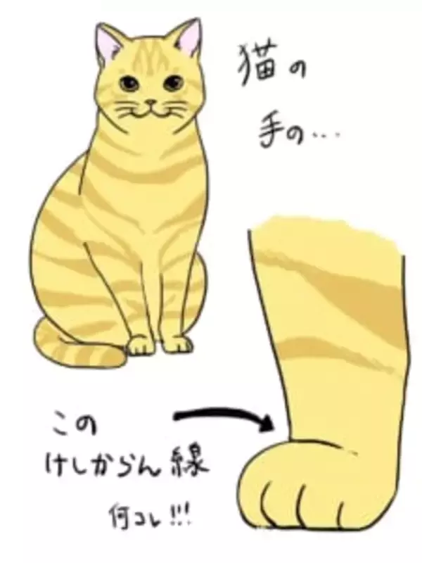 猫の足は「けしかライン」でできている……かわいすぎて全てがケシカラン！