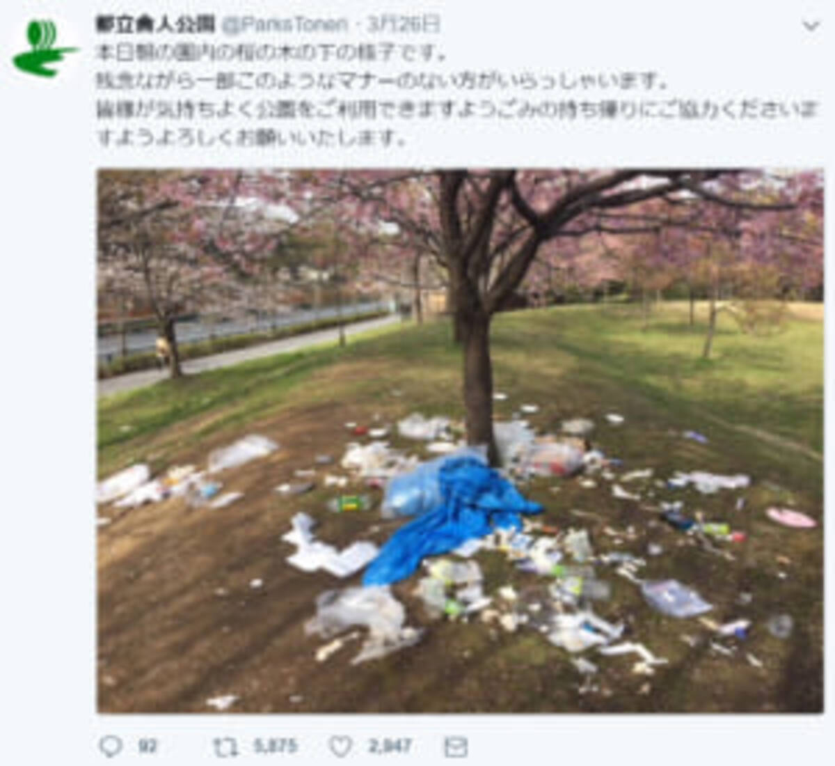 桜の木の根元に散乱するゴミ 都立舎人公園が写真を公開 18年3月30日 エキサイトニュース