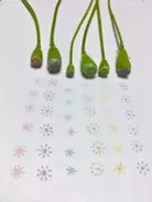 事務用にも使えそう 鳥獣戯画でいいね おめでとう 鳥獣戯画先生スタンプ に新柄が登場 18年3月31日 エキサイトニュース