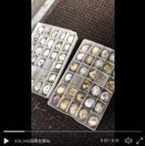 「うずらの卵を買っておいたら大量のひなに！かわいいプチパニック状態が話題」の画像1