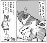 「猫のお腹がたるんでいるの、実は訳があったのです……　そんな訳があったとは」の画像1