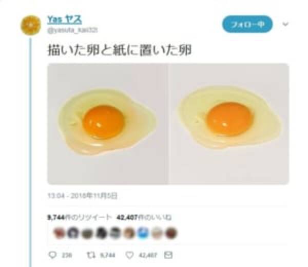 どちらが本物でしょう 生卵の絵と写真 見分けがつかないほどにリアル 18年11月6日 エキサイトニュース