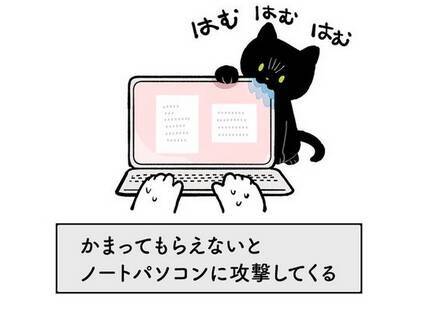 構っての圧がすごい猫vsお仕事用ノートpcの仁義なき戦い 19年6月3日 エキサイトニュース