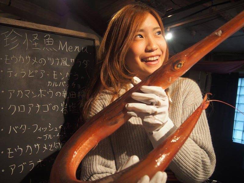 Holiday Jackが「珍怪魚フェス」開催　あなたの知らない高級魚も！？