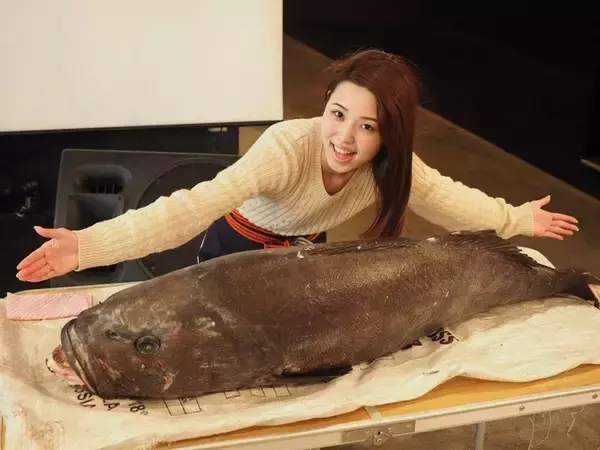 「Holiday Jackが「珍怪魚フェス」開催　あなたの知らない高級魚も！？」の画像
