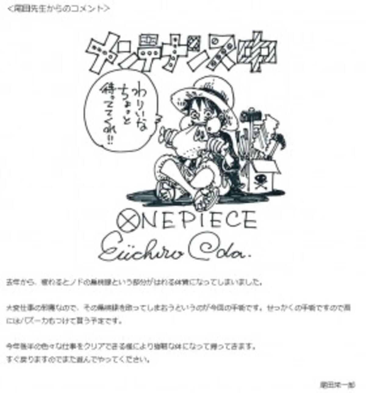 尾田栄一郎手術のため One Piece 休載 肩にはバズーカもつけて貰う予定です 14年5月28日 エキサイトニュース