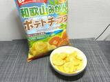「和歌山県のご当地「みかんポテチ」に衝撃　人生初の体験でパニック「なにこれ？？？」」の画像1