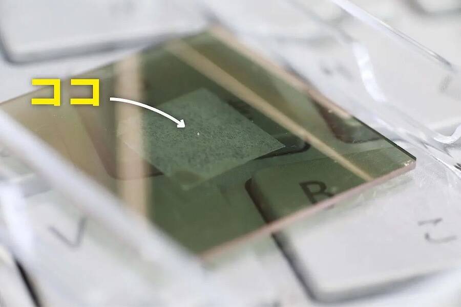 世界最小クラスのお城が現る　髪の毛サイズの「ナノ福山城」に騒然