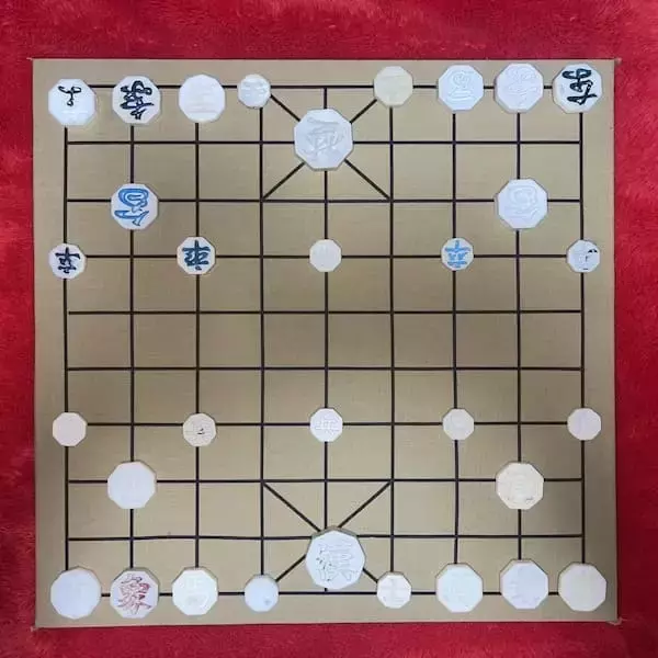 「漂着物だけで朝鮮将棋の駒をコンプリート！6年の海辺散策がもたらした“前人未到の成果”」の画像