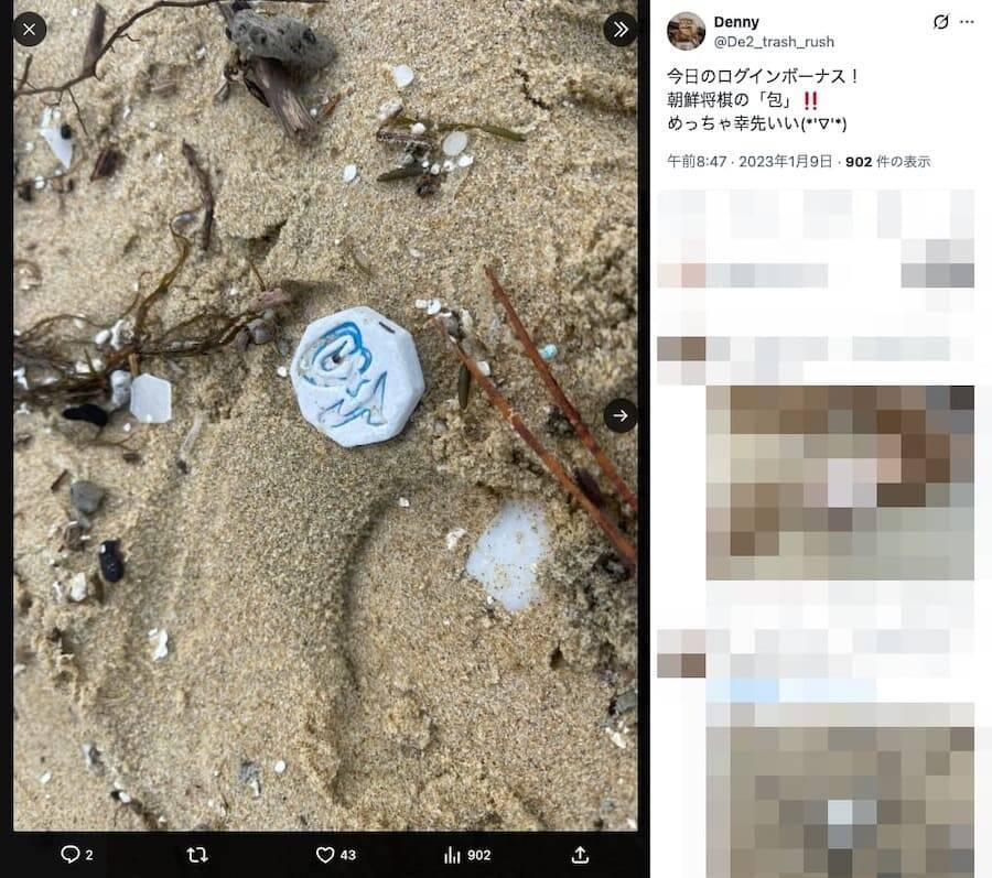 漂着物だけで朝鮮将棋の駒をコンプリート！6年の海辺散策がもたらした“前人未到の成果”