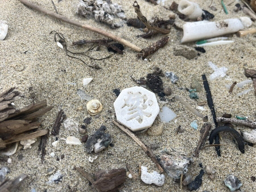 漂着物だけで朝鮮将棋の駒をコンプリート！6年の海辺散策がもたらした“前人未到の成果”