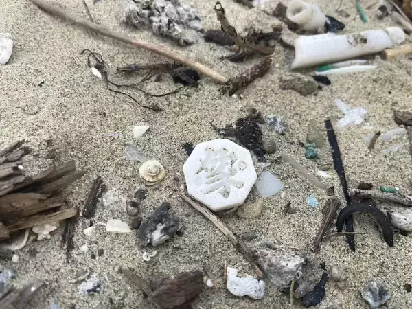 「漂着物だけで朝鮮将棋の駒をコンプリート！6年の海辺散策がもたらした“前人未到の成果”」の画像