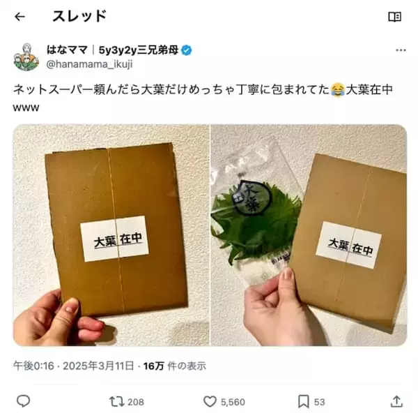 「大葉在中……？ダンボールで厳重に梱包されていた、まさかの食材」の画像