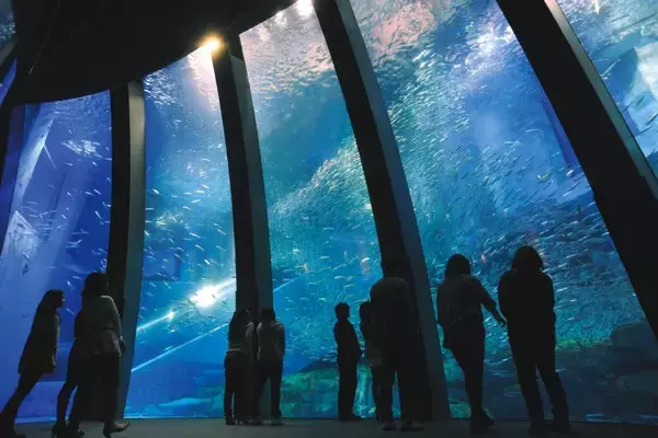 「晴れでギャラ変動　マツケン×シーパラのGW企画がもはや令和のバグ」の画像