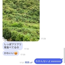 母の視力がスナイパー級　ネット騒然の「茂みの鹿探し」写真