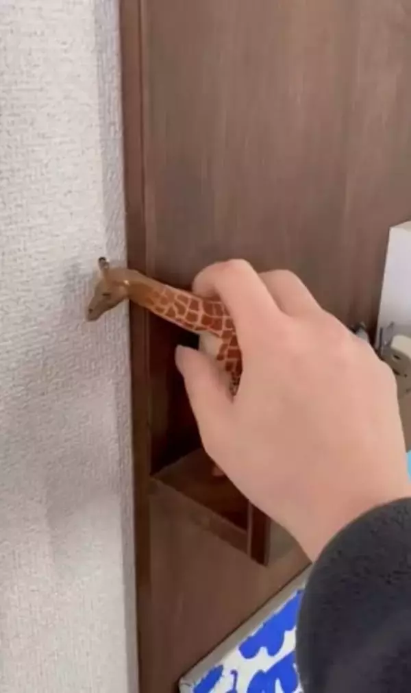 「仕事をする妻が武器商人にしか見えない？とあるXユーザーの自宅の“秘密”が最高だった」の画像