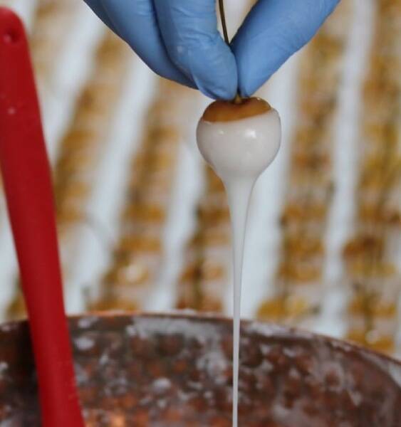 「シナシナランボ」から「夢心地の汁」が……？ 金精軒のチェリーボンボン解説図がゆるくてわかりやすい