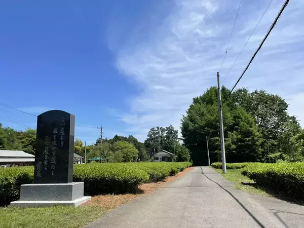 「武者小路実篤「新しき村」が村長募集　住人3人からの再生プロジェクト」の画像