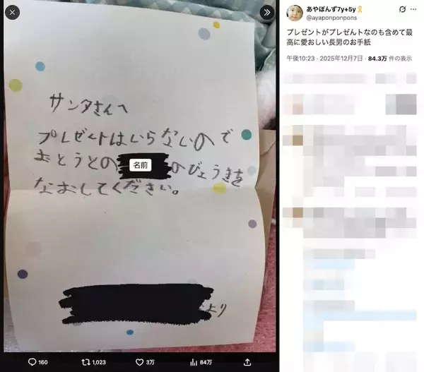 「「おとうとのびょうきをなおして」7歳の兄がサンタに託した切実な願い」の画像