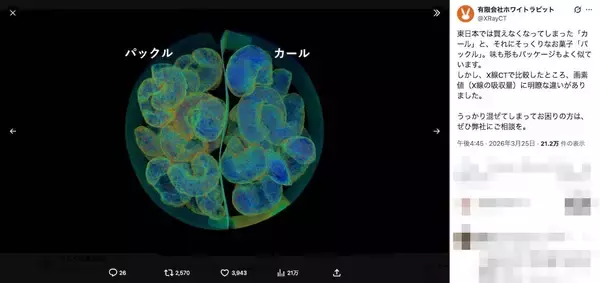 カールとパックル、混ざったら詰む問題→X線CTにかけた結果こうなる