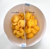 「カールとパックル、混ざったら詰む問題→X線CTにかけた結果こうなる」の画像2
