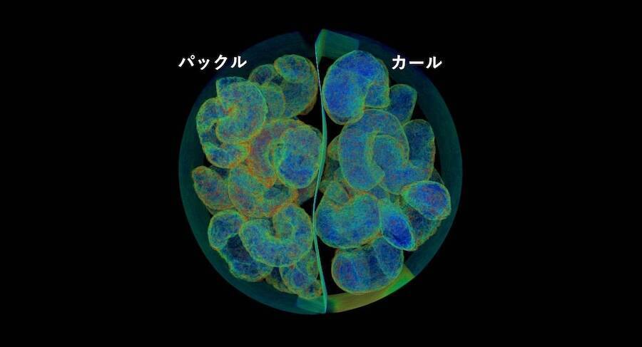 カールとパックル、混ざったら詰む問題→X線CTにかけた結果こうなる