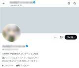 「人気ゲームを名乗るDMの正体　Xで起きたアカウント乗っ取り被害の実例」の画像9