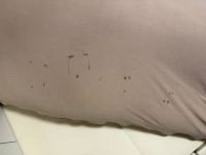 魚拓ならぬ「泣き拓」？イヤイヤ期の2歳児がヨギボーに残した跡に癒やされる人続出