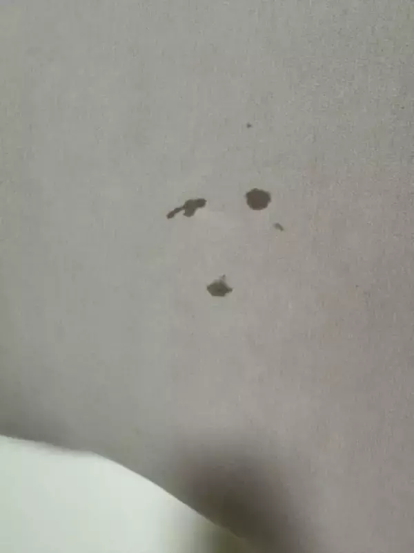 「魚拓ならぬ「泣き拓」？イヤイヤ期の2歳児がヨギボーに残した跡に癒やされる人続出」の画像