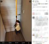 「小窓越しにしか会えない父と娘　家の一角で生まれたドラマチックな一幕」の画像2