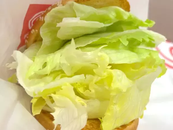 「一口目、レタスしか来ない　ドムドム「ほぼレタスバーガー」がとっても緑」の画像