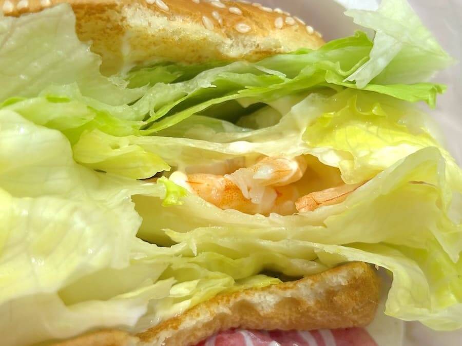 一口目、レタスしか来ない　ドムドム「ほぼレタスバーガー」がとっても緑