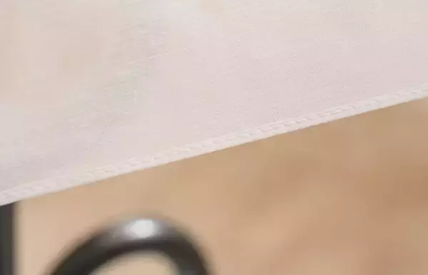 「コスプレ・ハンドメイド界のガチ勢に刺さりそう　ジャノメ、最上位職業用ミシン「エクリュ2000」発売」の画像