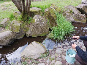 スルメで釣ったあの夏をもう一度？　相鉄グループ、親子で学べる「ザリガニ釣り体験」を開催