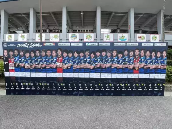 「今年で発足30周年のJリーグ　出不精の筆者がスタジアムでの生観戦にハマった訳」の画像