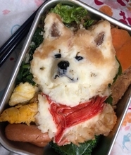 羊毛フェルト作家が作る「わんこキャラ弁」　リアルすぎてもはやアート