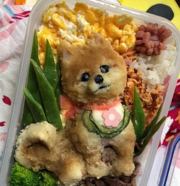 羊毛フェルト作家が作る「わんこキャラ弁」　リアルすぎてもはやアート