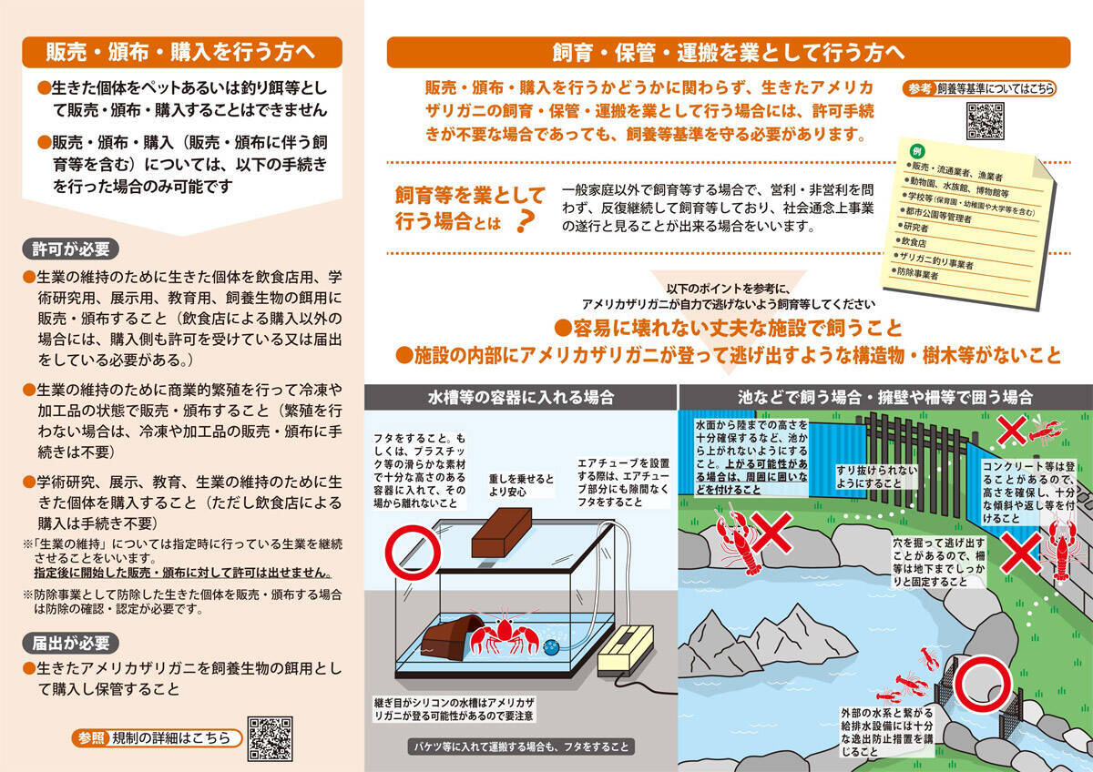 「条件付特定外来生物」のアメリカザリガニを食べる？千葉県・印旛沼周辺にある食文化