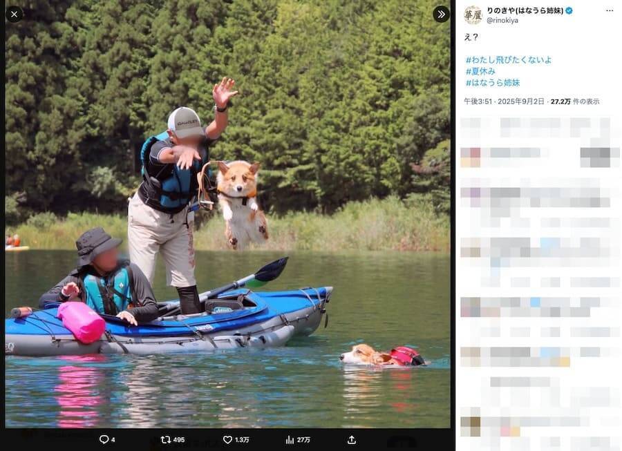 「え？」きょとん顔でカメラを凝視　湖に放り込まれるコーギーの決定的瞬間