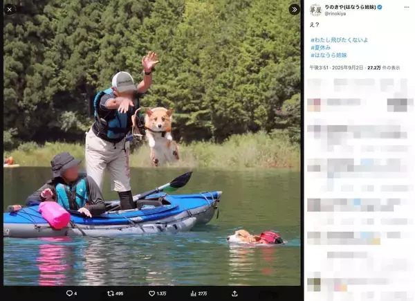 「「え？」きょとん顔でカメラを凝視　湖に放り込まれるコーギーの決定的瞬間」の画像