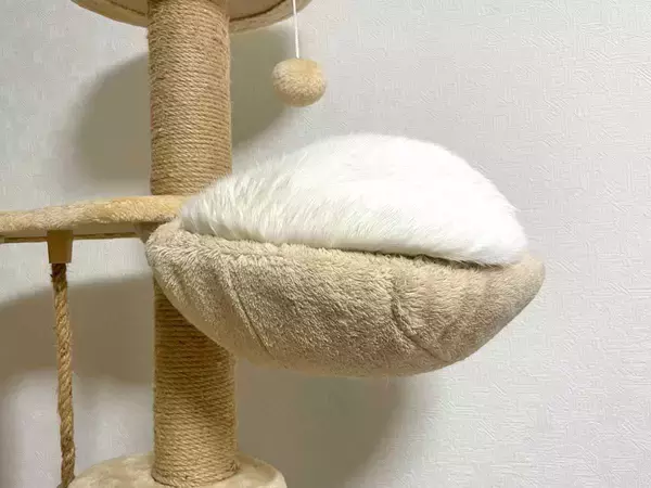 キャットタワーに巨大な餅？飼い主も「たぶん猫」と困惑する白猫の寝姿