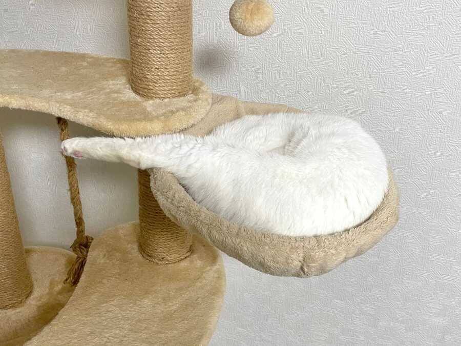 キャットタワーに巨大な餅？飼い主も「たぶん猫」と困惑する白猫の寝姿