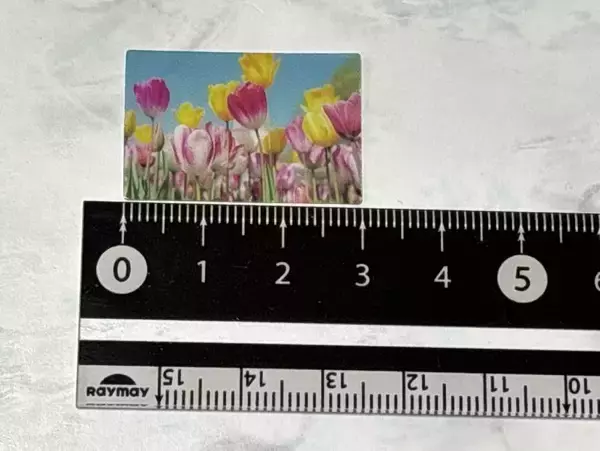 「シャッターを押すと写真が現れる　カプセルトイ「デジタルカメラフォトフレームマスコット」使ってみた」の画像