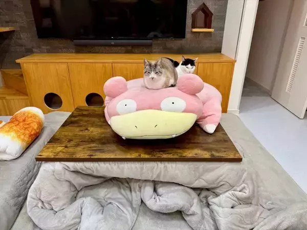 「巨大ぬいぐるみが猫たちの癒やしスポットに　ニャン口密度が高過ぎる光景にほっこり」の画像