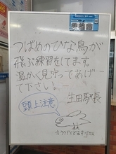 「ひな鳥が飛ぶ練習をしています」　駅長によるツバメのイラストとメッセージがあたたかい